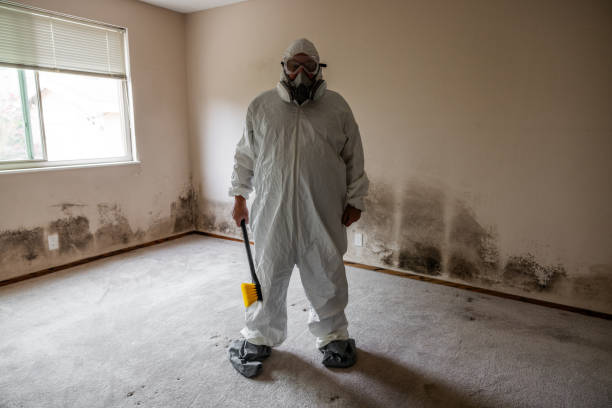 Crawl Space Mold Removal in Riverdale, GA
